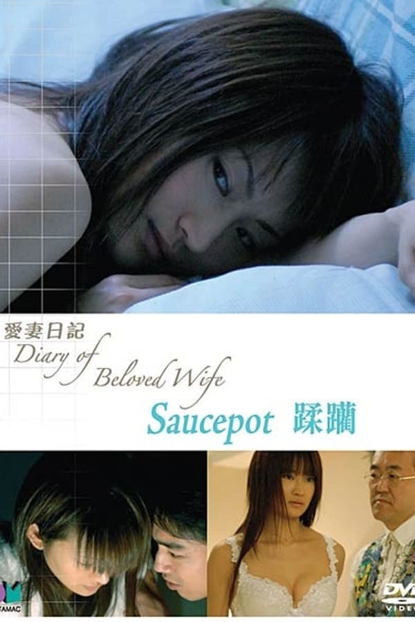 爱妻日记之蹂躏海报