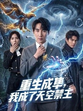 重生成隼，我成了天空禁主海报