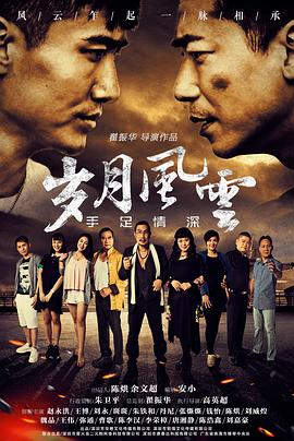 岁月风云之手足情深海报