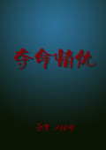 夺命情仇海报