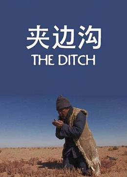 夹边沟海报