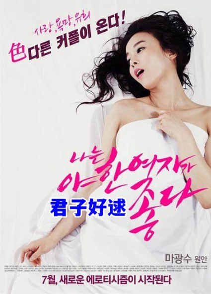 君子好逑海报