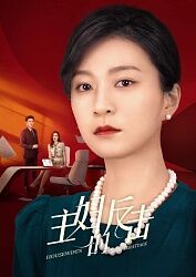 主妇的反击海报