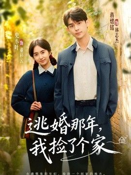 逃婚那年，我捡了个家海报