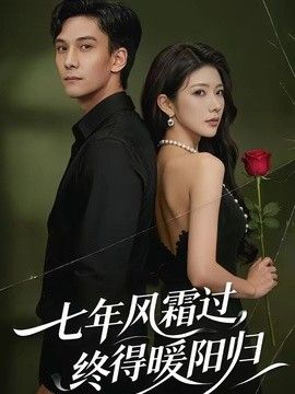 七年风霜过，终得暖阳归海报