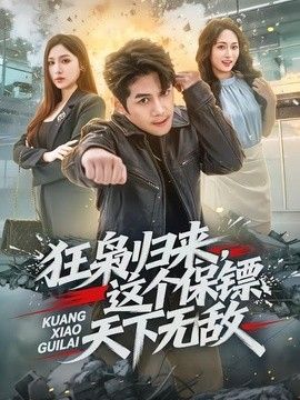 狂枭归来，这个保镖天下无敌海报