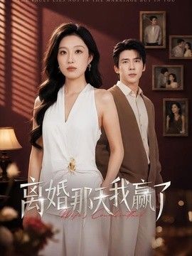 离婚那天我赢了海报