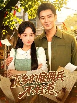 下乡的雇佣兵不好惹海报