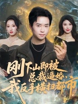 刚下山即被总裁逼婚，我反手横扫都市海报