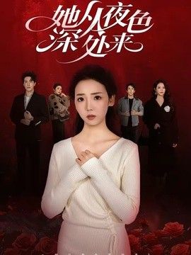 她从夜色深处来海报