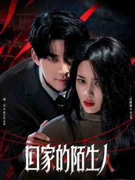 回家的陌生人海报