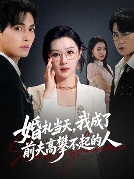 婚礼当天，我成了前夫高攀不起的人海报