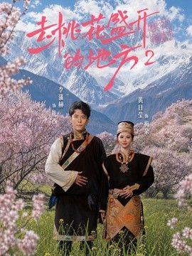 去桃花盛开的地方2海报