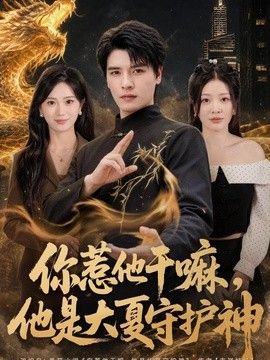 你惹他干嘛，他是大夏守护神海报