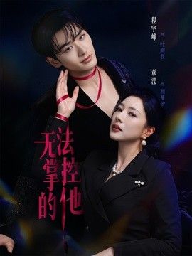 无法掌控的他海报