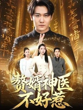 赘婿神医不好惹海报