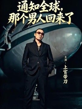 通知全球那个男人回来了海报