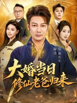 大婚当日修仙老爸归来海报