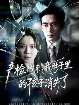 产检醒来，我肚子里的孩子消失了海报