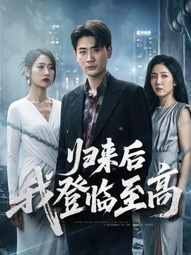 归来后我登临至高海报