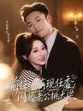 前任哪有现任香，闪婚老公挑大梁（与你盛夏岁岁安）海报
