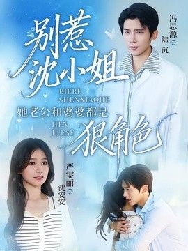 别惹沈小姐她老公和婆婆都是狠角色海报