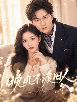 晚风不渡旧人海报