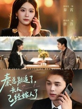 秦总别追了，夫人已经嫁人了海报