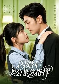 闪婚后老公是总指挥海报