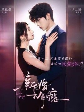 新婚有瘾海报