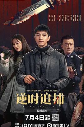 逆时追捕海报