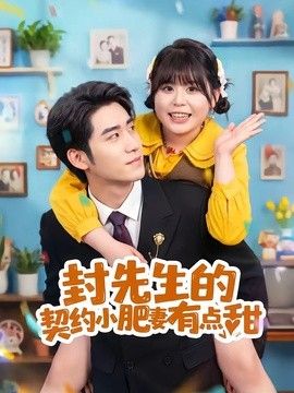封先生的契约小肥妻有点甜海报