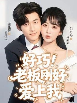 老板刚好爱上我海报