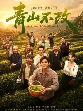青山不改海报