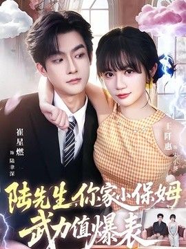 陆先生，你家小保姆武力值爆表海报