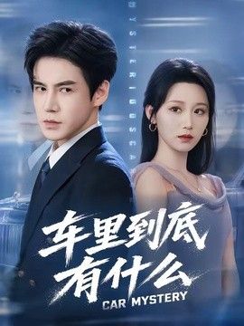 车里到底有什么海报
