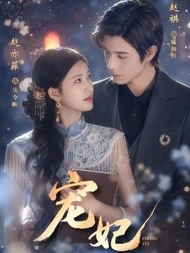 宠妃海报