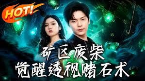 矿区废柴，觉醒透视赌石术海报