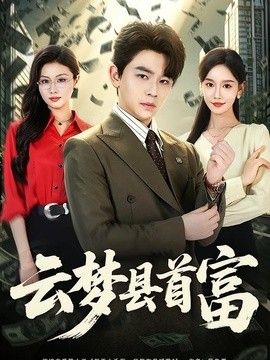 云梦县首富海报