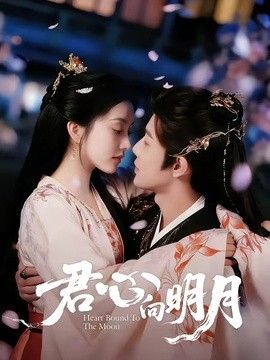君心向明月海报
