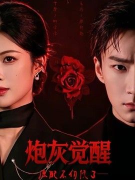 炮灰觉醒，原配不伺候了海报