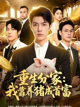 重生分家：我靠养猪成首富海报