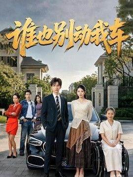 谁也别动我车海报