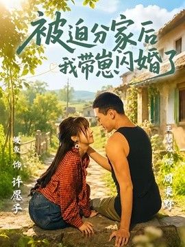 被迫分家后我带崽闪婚了海报