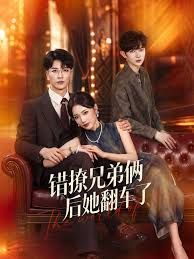 错撩兄弟俩后她翻车了海报