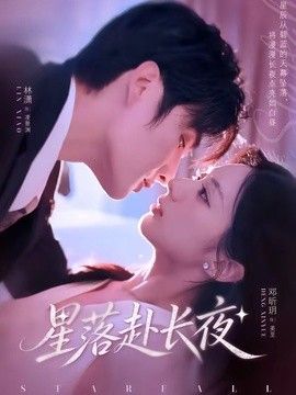 星落赴长夜海报