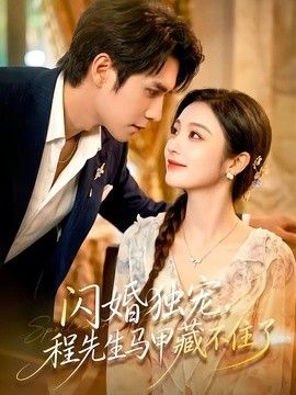 闪婚独宠，程先生马甲藏不住了海报