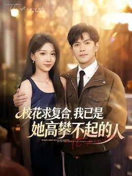 校花求复合，我已是她高攀不起的人海报