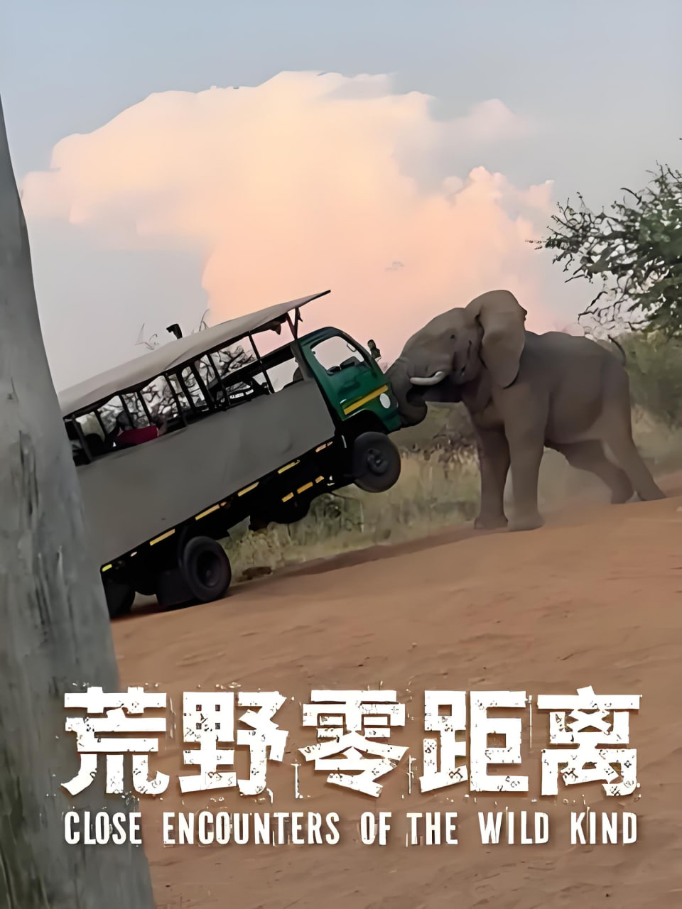 荒野零距离海报