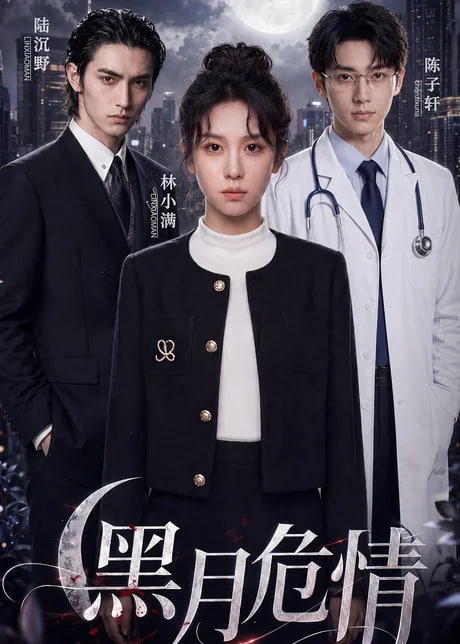 黑月危情海报